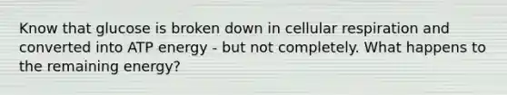 Know that glucose is broken down in cellular respiration and converted into ATP energy - but not completely. What happens to the remaining energy?
