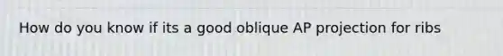 How do you know if its a good oblique AP projection for ribs