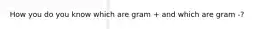 How you do you know which are gram + and which are gram -?