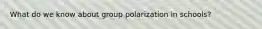 What do we know about group polarization in schools?