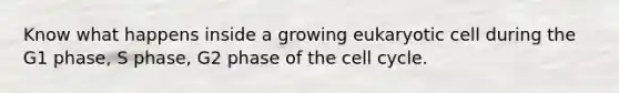 Know what happens inside a growing eukaryotic cell during the G1 phase, S phase, G2 phase of the cell cycle.