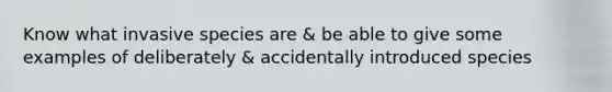 Know what invasive species are & be able to give some examples of deliberately & accidentally introduced species