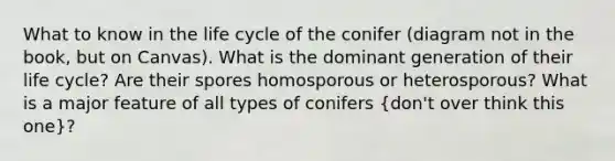 What to know in the life cycle of the conifer (diagram not in the book, but on Canvas). What is the dominant generation of their life cycle? Are their spores homosporous or heterosporous? What is a major feature of all types of conifers (don't over think this one)?