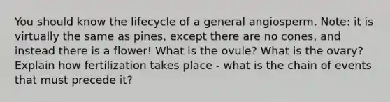 You should know the lifecycle of a general angiosperm. Note: it is virtually the same as pines, except there are no cones, and instead there is a flower! What is the ovule? What is the ovary? Explain how fertilization takes place - what is the chain of events that must precede it?