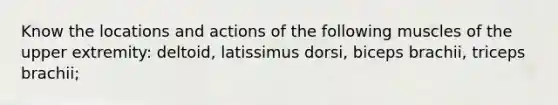 Know the locations and actions of the following muscles of the upper extremity: deltoid, latissimus dorsi, biceps brachii, triceps brachii;