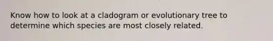 Know how to look at a cladogram or evolutionary tree to determine which species are most closely related.