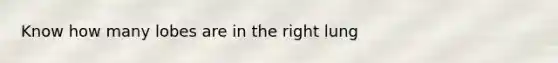 Know how many lobes are in the right lung