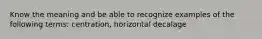 Know the meaning and be able to recognize examples of the following terms: centration, horizontal decalage