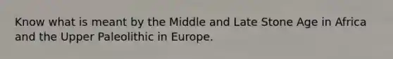 Know what is meant by the Middle and Late Stone Age in Africa and the Upper Paleolithic in Europe.