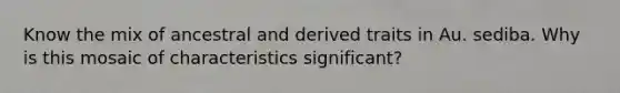 Know the mix of ancestral and derived traits in Au. sediba. Why is this mosaic of characteristics significant?