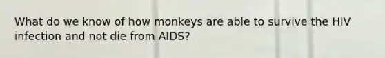 What do we know of how monkeys are able to survive the HIV infection and not die from AIDS?