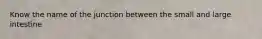 Know the name of the junction between the small and large intestine