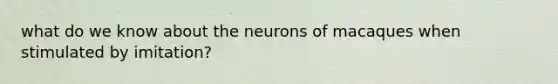 what do we know about the neurons of macaques when stimulated by imitation?