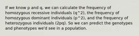 If we know p and q, we can calculate the frequency of homozygous recessive individuals (q^2), the frequency of homozygous dominant individuals (p^2), and the frequency of heterozygous individuals (2pq). So we can predict the genotypes and phenotypes we'd see in a population.