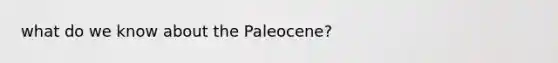 what do we know about the Paleocene?