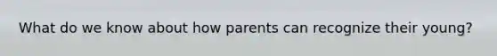 What do we know about how parents can recognize their young?