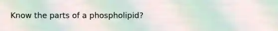 Know the parts of a phospholipid?