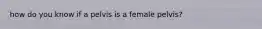 how do you know if a pelvis is a female pelvis?