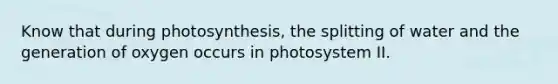 Know that during photosynthesis, the splitting of water and the generation of oxygen occurs in photosystem II.