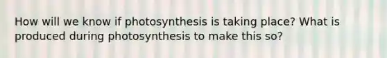 How will we know if photosynthesis is taking place? What is produced during photosynthesis to make this so?