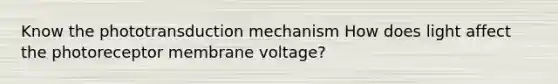 Know the phototransduction mechanism How does light affect the photoreceptor membrane voltage?