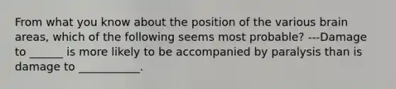 From what you know about the position of the various brain areas, which of the following seems most probable? ---Damage to ______ is more likely to be accompanied by paralysis than is damage to ___________.