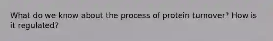 What do we know about the process of protein turnover? How is it regulated?