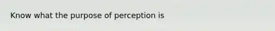 Know what the purpose of perception is