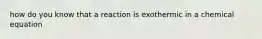 how do you know that a reaction is exothermic in a chemical equation