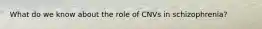 What do we know about the role of CNVs in schizophrenia?