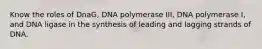 Know the roles of DnaG, DNA polymerase III, DNA polymerase I, and DNA ligase in the synthesis of leading and lagging strands of DNA.