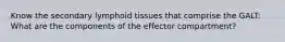 Know the secondary lymphoid tissues that comprise the GALT: What are the components of the effector compartment?