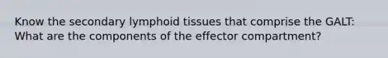 Know the secondary lymphoid tissues that comprise the GALT: What are the components of the effector compartment?