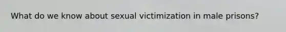 What do we know about sexual victimization in male prisons?