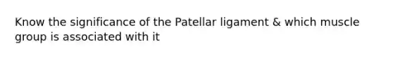 Know the significance of the Patellar ligament & which muscle group is associated with it