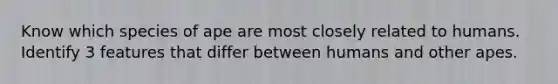 Know which species of ape are most closely related to humans. Identify 3 features that differ between humans and other apes.