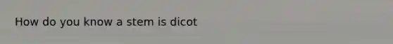 How do you know a stem is dicot