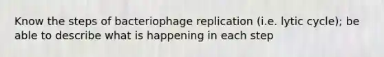 Know the steps of bacteriophage replication (i.e. lytic cycle); be able to describe what is happening in each step