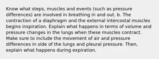 Know what steps, muscles and events (such as pressure differences) are involved in breathing in and out. b. The contraction of a diaphragm and the external intercostal muscles begins inspiration. Explain what happens in terms of volume and pressure changes in the lungs when these muscles contract. Make sure to include the movement of air and pressure differences in side of the lungs and pleural pressure. Then, explain what happens during expiration.