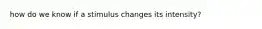 how do we know if a stimulus changes its intensity?