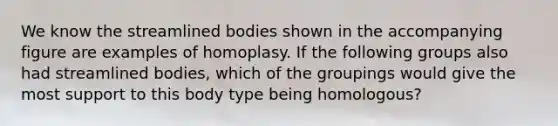 We know the streamlined bodies shown in the accompanying figure are examples of homoplasy. If the following groups also had streamlined bodies, which of the groupings would give the most support to this body type being homologous?