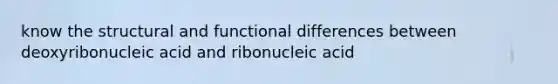 know the structural and functional differences between deoxyribonucleic acid and ribonucleic acid