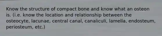 Know the structure of compact bone and know what an osteon is. (i.e. know the location and relationship between the osteocyte, lacunae, central canal, canaliculi, lamella, endosteum, periosteum, etc.)