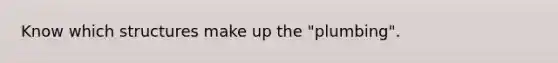 Know which structures make up the "plumbing".
