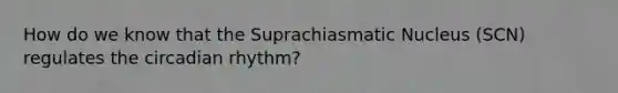 How do we know that the Suprachiasmatic Nucleus (SCN) regulates the circadian rhythm?