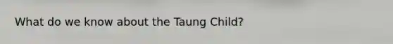 What do we know about the Taung Child?