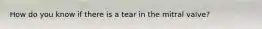 How do you know if there is a tear in the mitral valve?