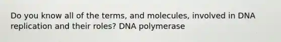 Do you know all of the terms, and molecules, involved in DNA replication and their roles? DNA polymerase