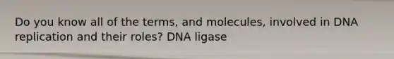 Do you know all of the terms, and molecules, involved in DNA replication and their roles? DNA ligase