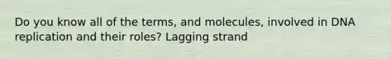 Do you know all of the terms, and molecules, involved in DNA replication and their roles? Lagging strand